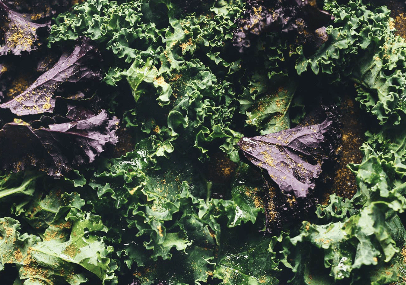 Kale Chips