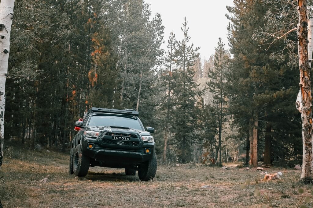 Toyota Tacoma in a forest