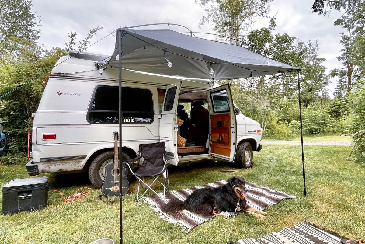Dog van camping