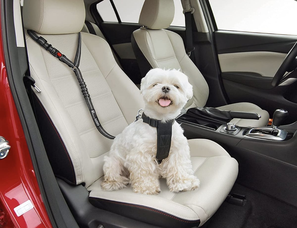 Etzan dog seatbelt